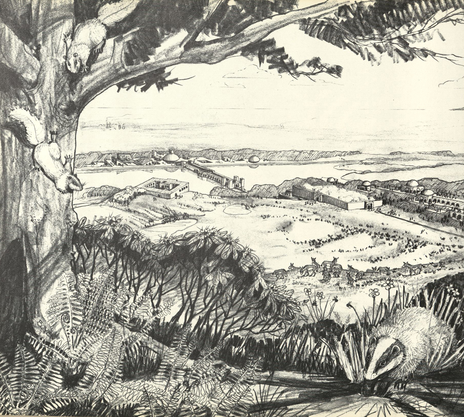 Illustration of a tree and badger in park setting