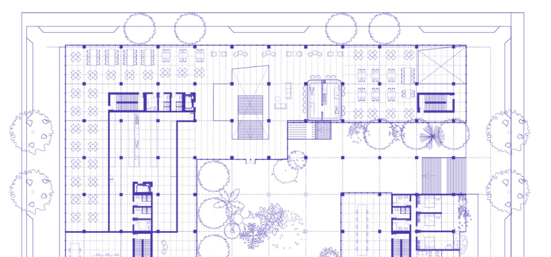 A blueprint for a proposed architectural project wit desks, stairs, trees, and rooms.