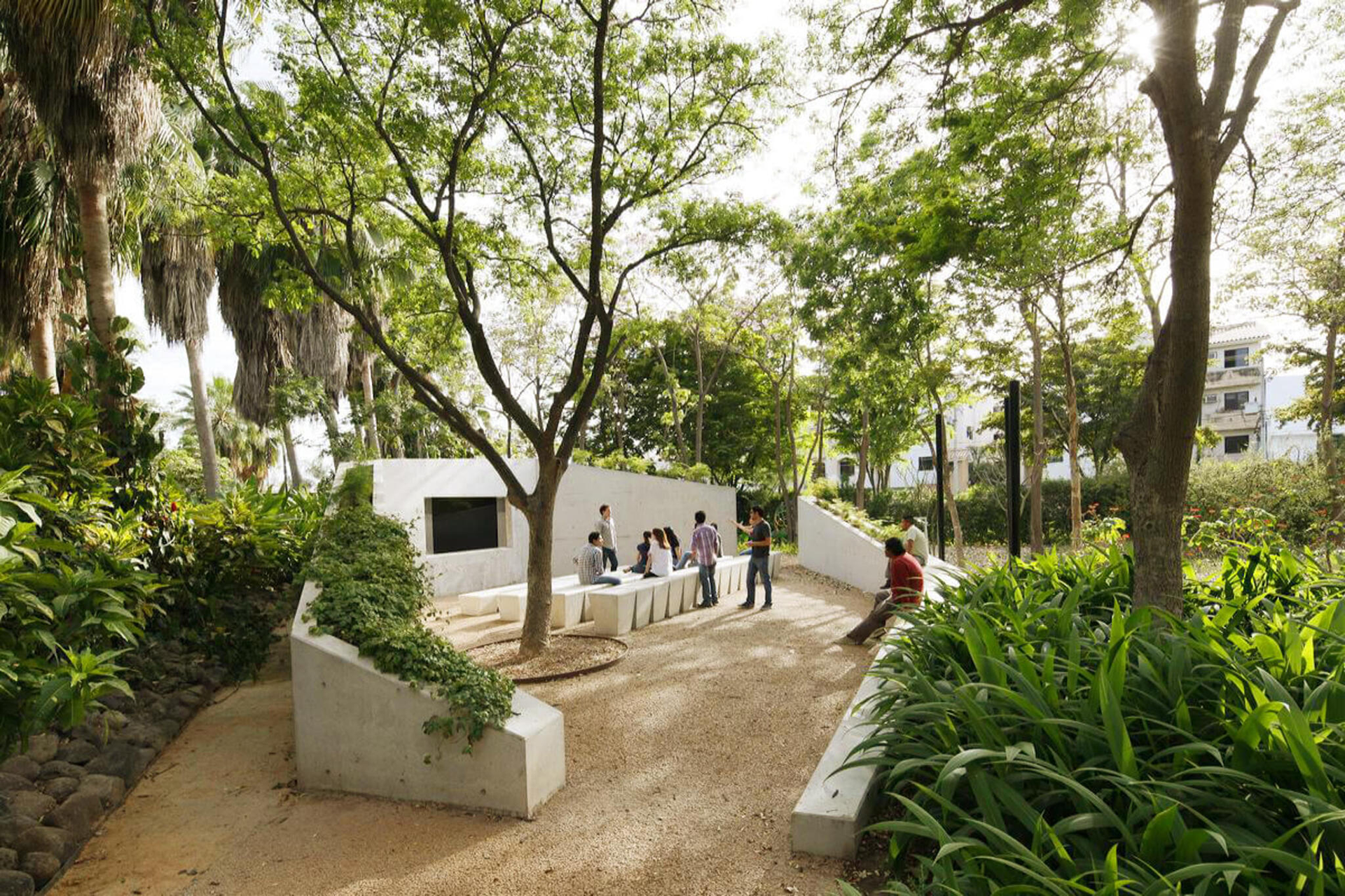 Area of white concrete seating tucked into a densely green area of a park