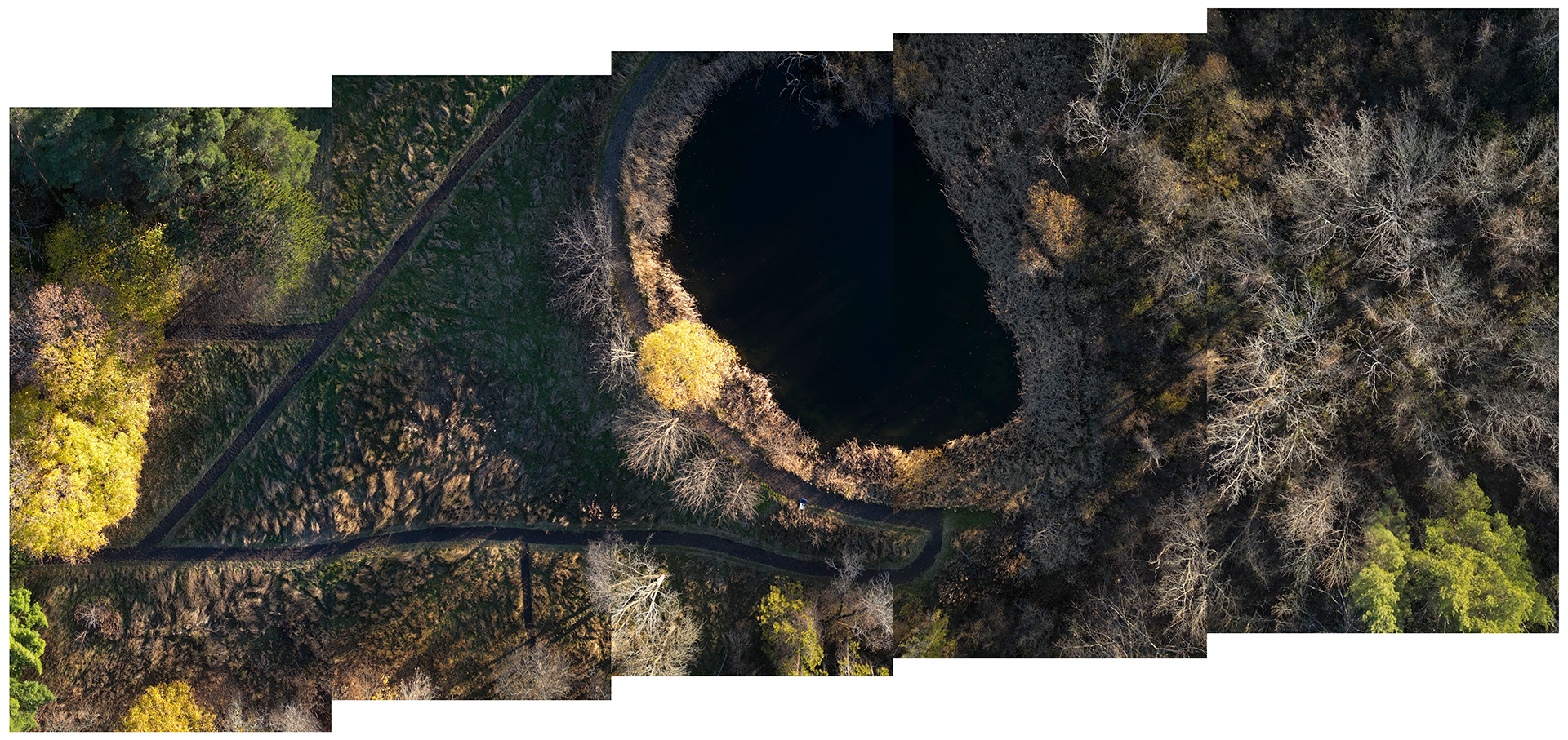 Aerial view of pond, field, and tree line.