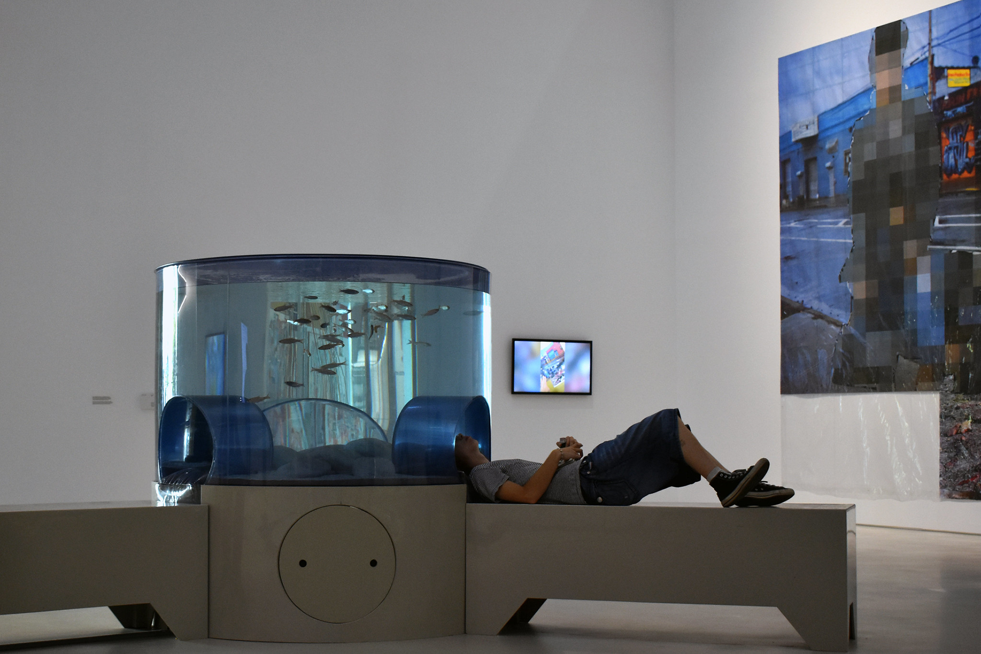 Student laying down on a bench with their head insider a viewing portal beneath a fish tank