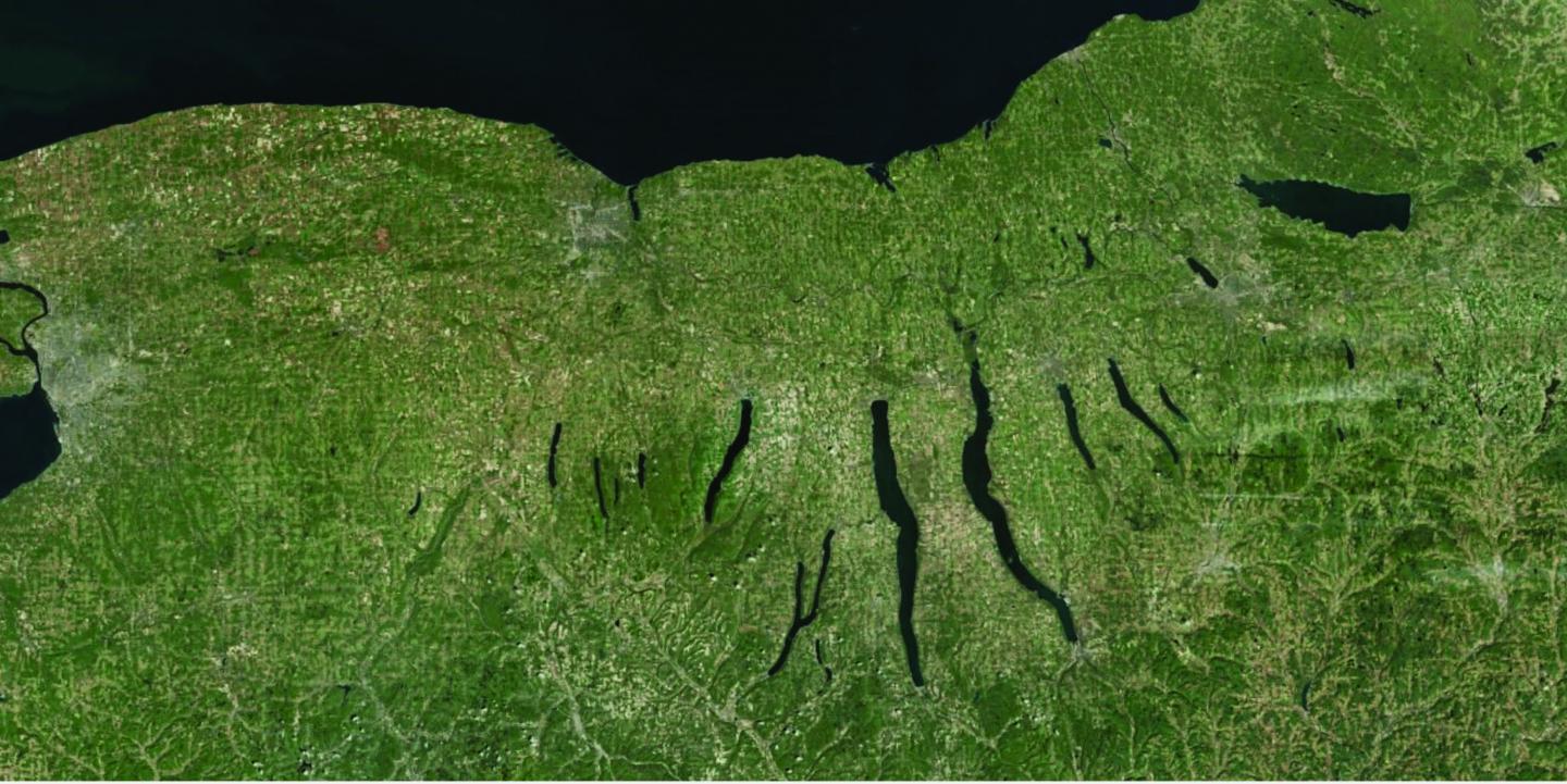 green landmass of of upstate new york region with the finger lakes depicted in black.