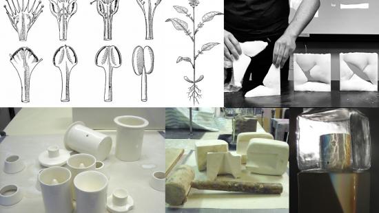 A composite of five images of drawings of plant stages, plaster fasts, and tools