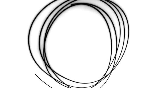A circular black pen mark on a white background.