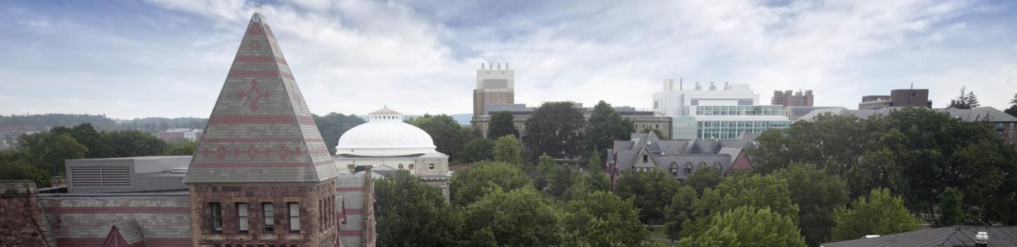 Several buildings a conical belfry, a dome, windowed facade, and vents above a treeline.