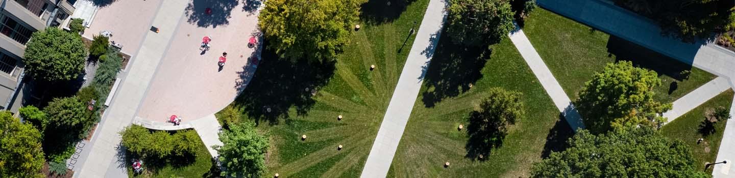 Grass, trees, and sidewalks with socially distanced individuals as seen from above.