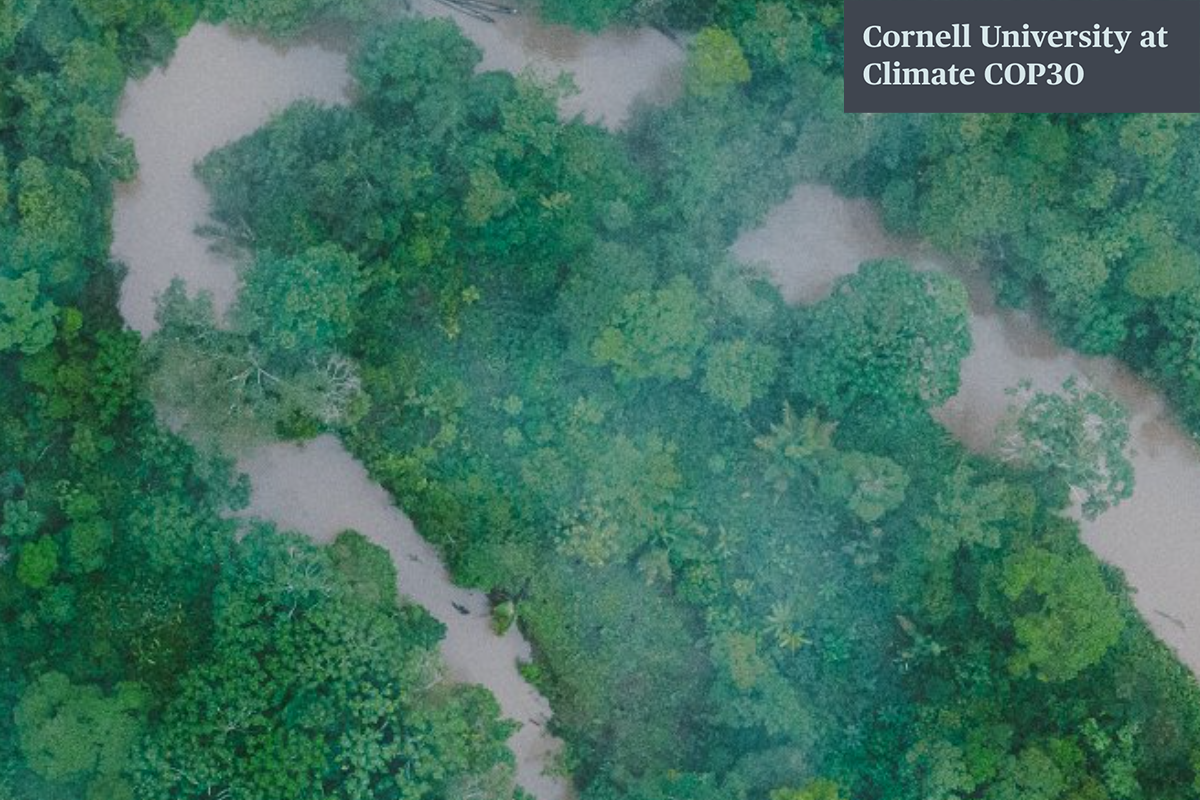 green trees and a winding river as seen from above