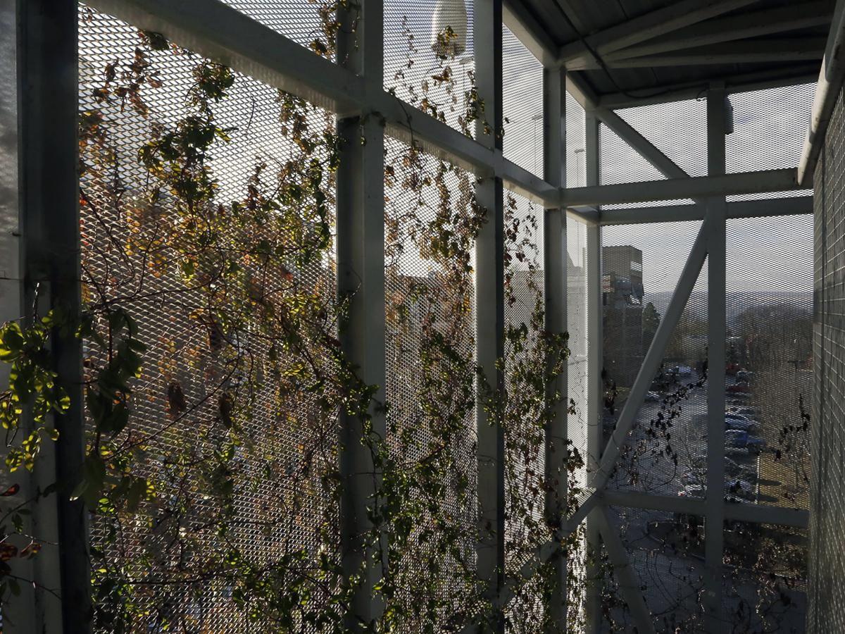 a large metal structure with plants growing on it.