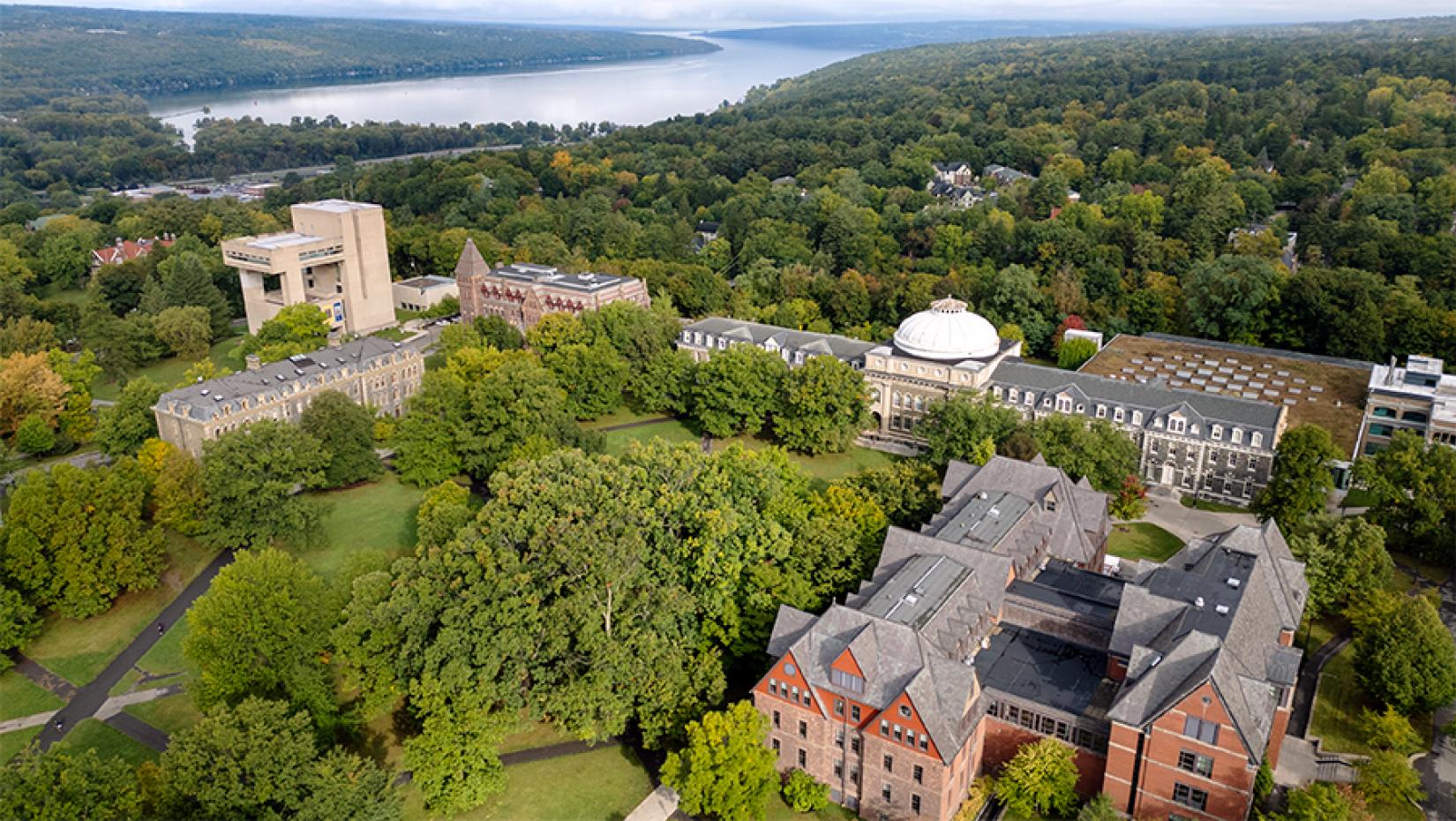 buildings surrounded by trees with a lake in the background