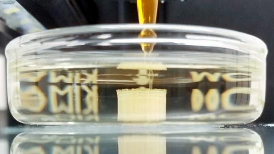 Close-up of a 3D printer nozzle extruding material into a petri dish, forming a small cylindrical structure submerged in liquid.