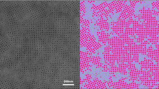 Side-by-side SEM and machine-learning segmentation reveal how different micelle chemistries pattern the membrane surface to enable chemical-affinity sorting.