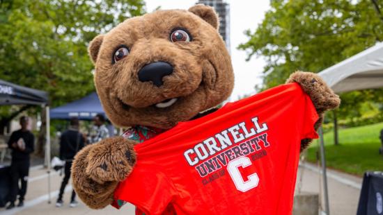 a brown bear mascot holding a bright red shirt that reads cornell university class of 2028