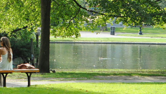 a person sitting in a park with a body of water near the center