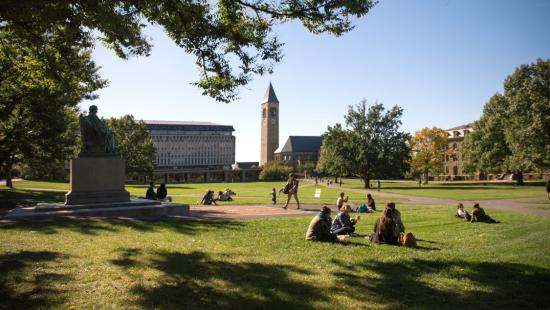 People sitting in the grass with a building and clock tower in the distance.
