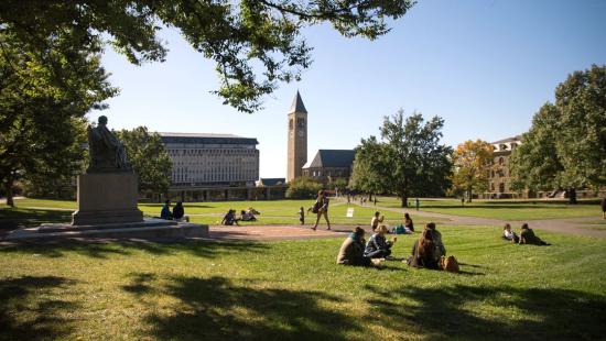 a statue surrounded by people sitting in the grass