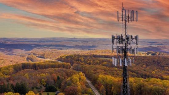 fall background with roadway, trees and cell tower.