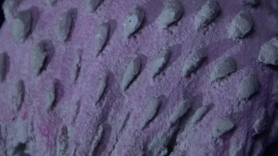 Close up view of Phase 3 (2023), cement, fabric dye, spray paint, 2