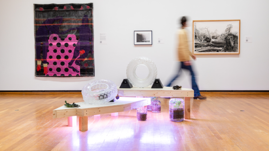 A person walking in an art gallery with glass tires, paintings, and plants with a purple light underneath a wooden bench.