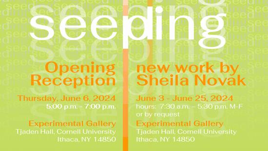 Sheila Novak: seeding/seeping