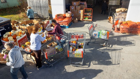 People with shopping carts gathhered arounf produce in an outdoor setting.