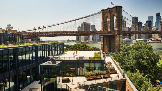 The Brooklyn Bridge forms the backdrop for a roof with greenery and benches.