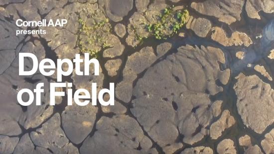 white text on an aerial view of marshland