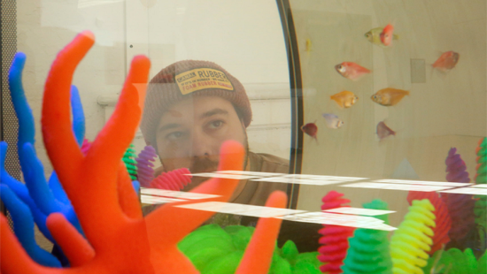 man looking through aquarium tank filled with fish and neon plastic coral