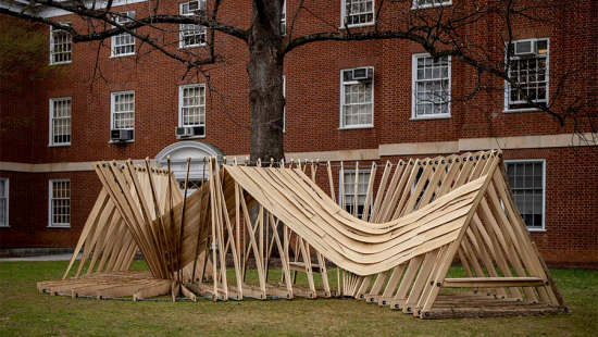 Large-scale sculpture built out of raw lumber placed in front of a tree and red brick building