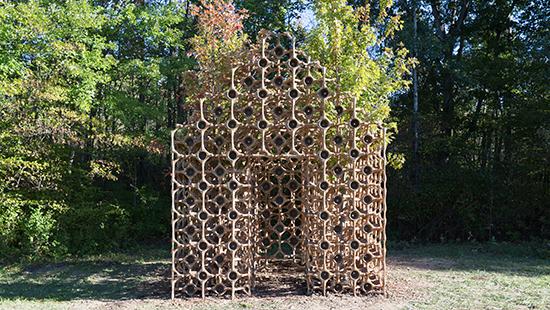 hut like structure made of circular wooden pieces and set against a forest