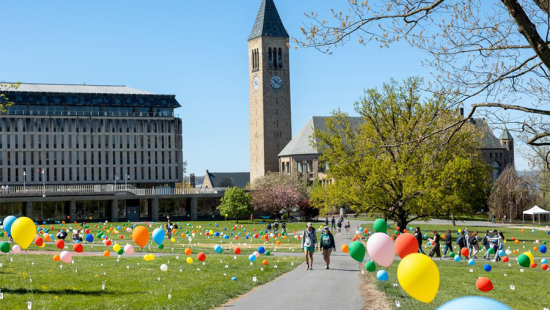 Balloons scattered across a lawn with a large clock tower in the background