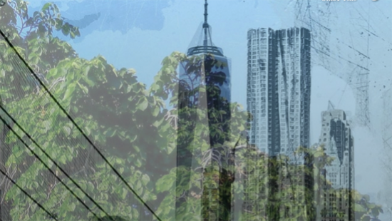 Cty skyscrapers, leafy trees, high-tension wires.