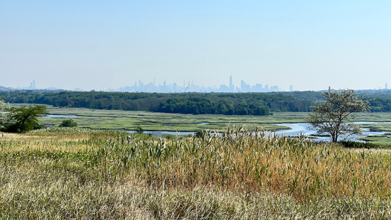 View across a field with the New York City skyline in the distance