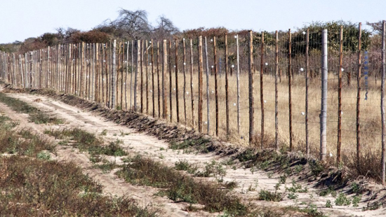 Row of fencing along a dirt road