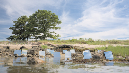 mirrors embedded in the sand along the shoreline with grass and several trees at back