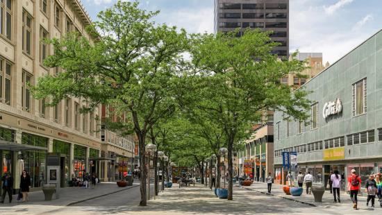 A pedestrian mall with trees and people between storefronts.