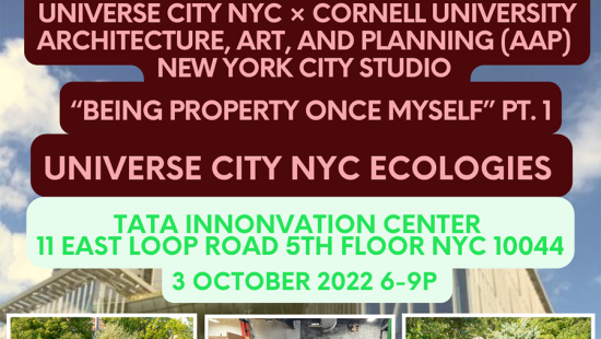 Poster for event with pink and green text over a building and skyline