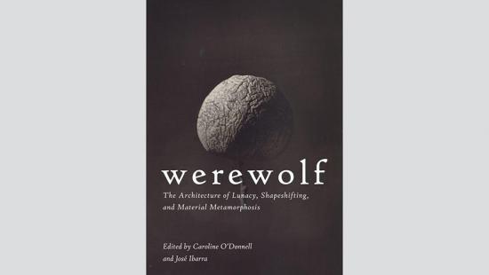 A dark globe shape above white text in a black background.