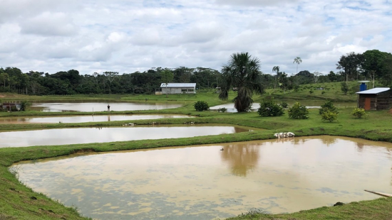 Aerial image of fish farm ponds