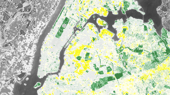 Aerial map of New York City illustrating the tree canopy
