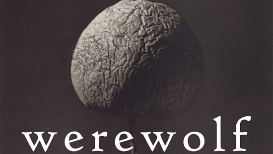 black and white book cover featuring a textured orb and the book title