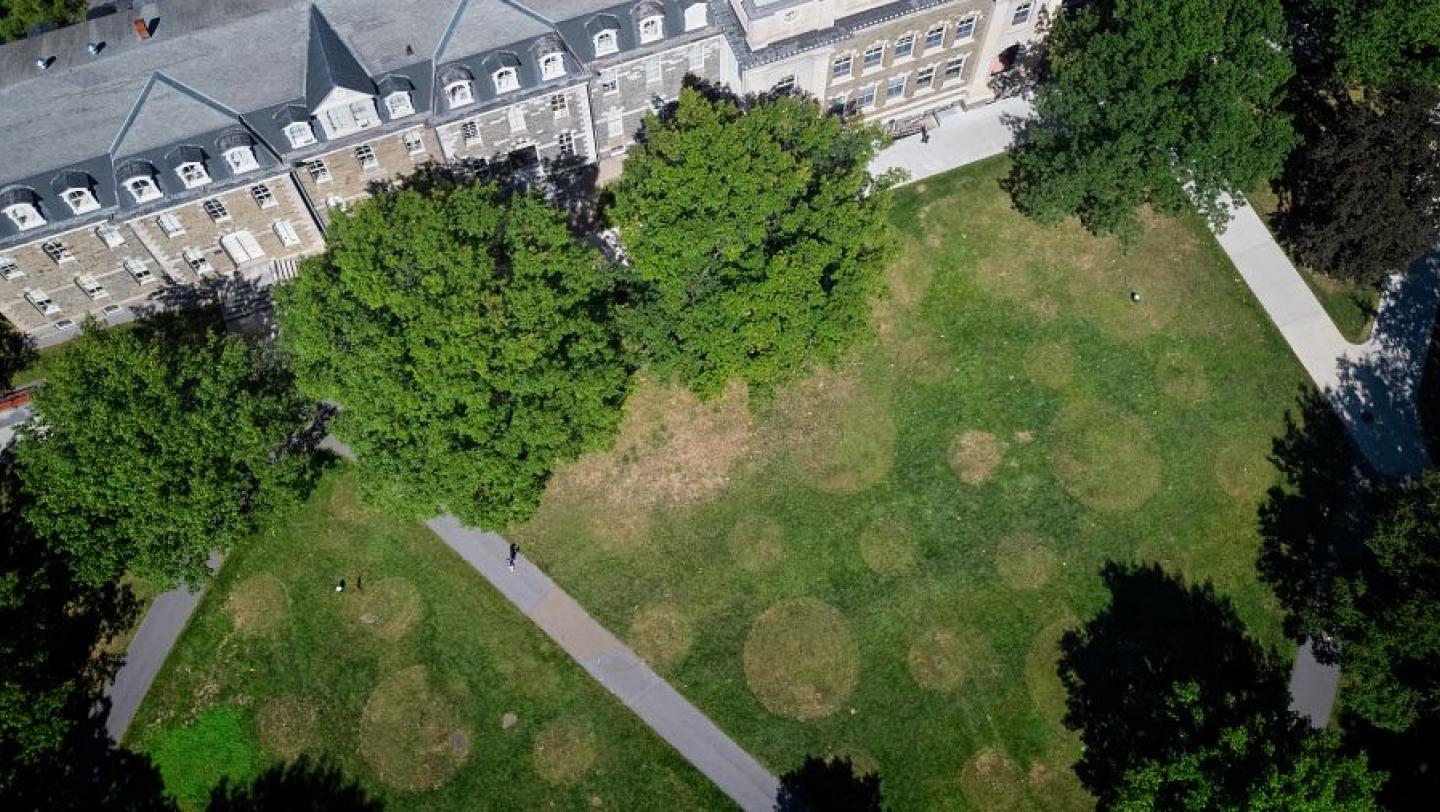 A view of a building and grassy area as seen from above.