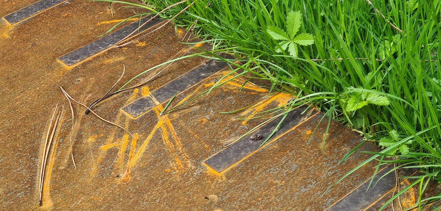 Iron slabs set on an avenue with grass edging with pine leaf impressions