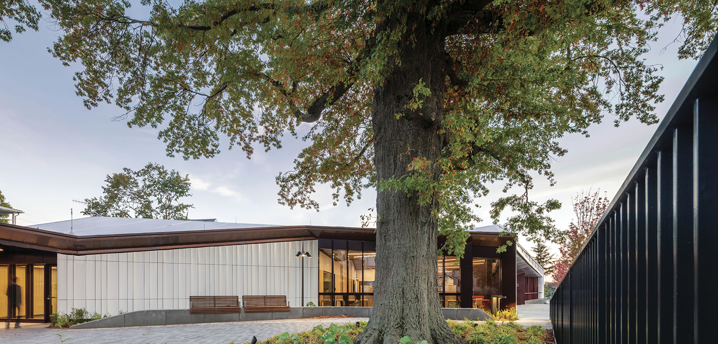 Exterior of a modern building with a tree in the foreground.
