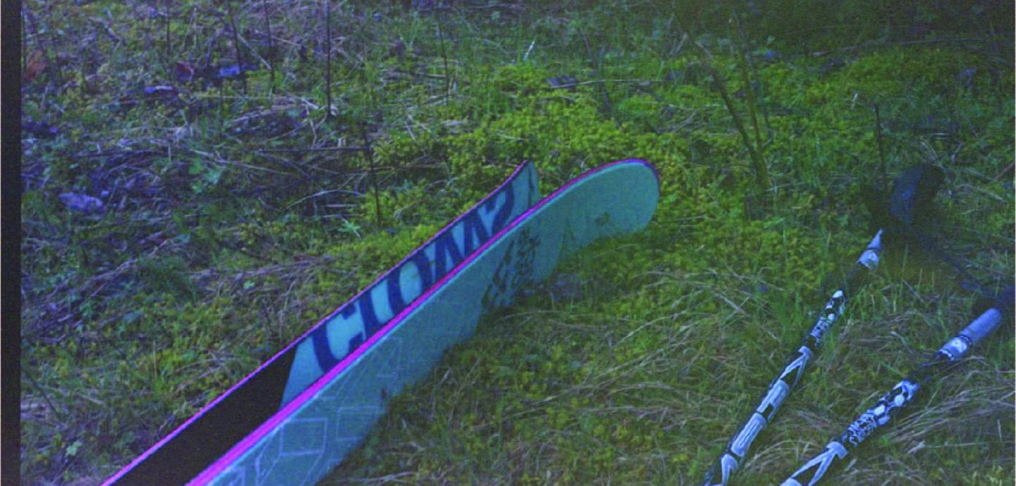 Two colorful blue and purple skies laid out on the grass, with patterned black and white ski poles lying next to them.