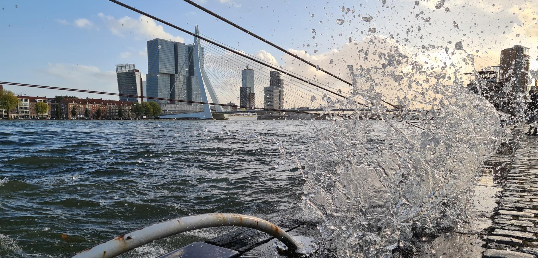 Rotterdam's landscape from water