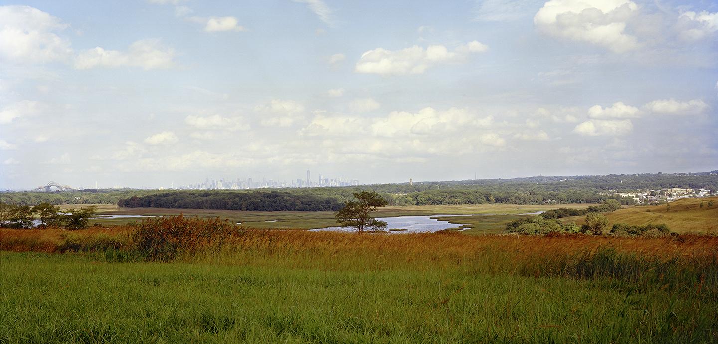 Field with grass, shrubs and trees with a far view overlooking the New York City skyline.