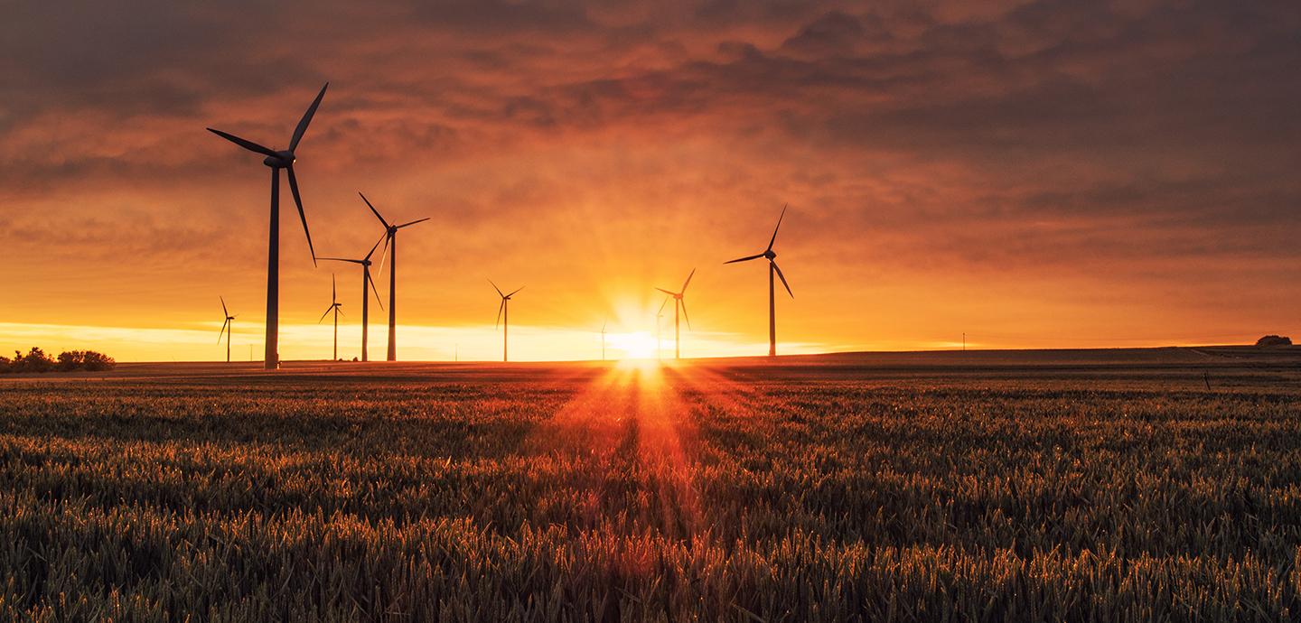 windmills in a field during sunrise