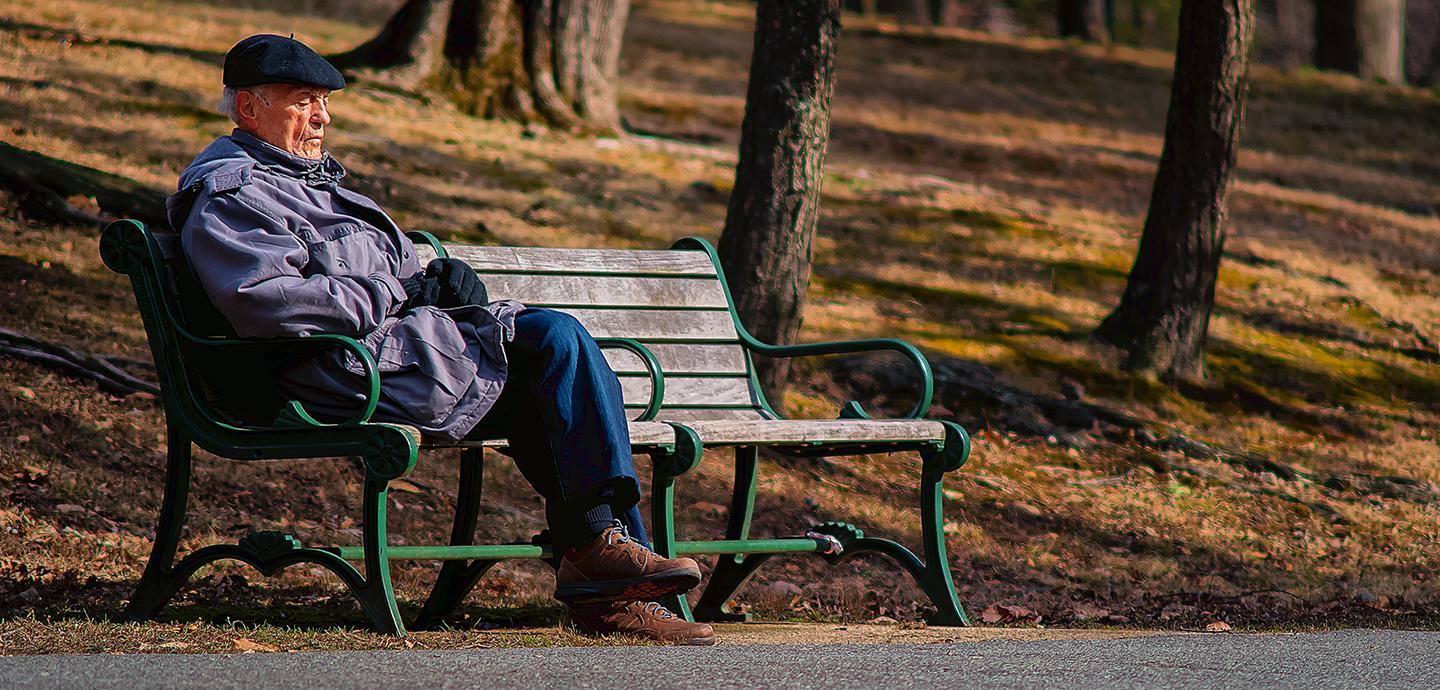 Older man sitting on a park bench amongst trees in the sunshine