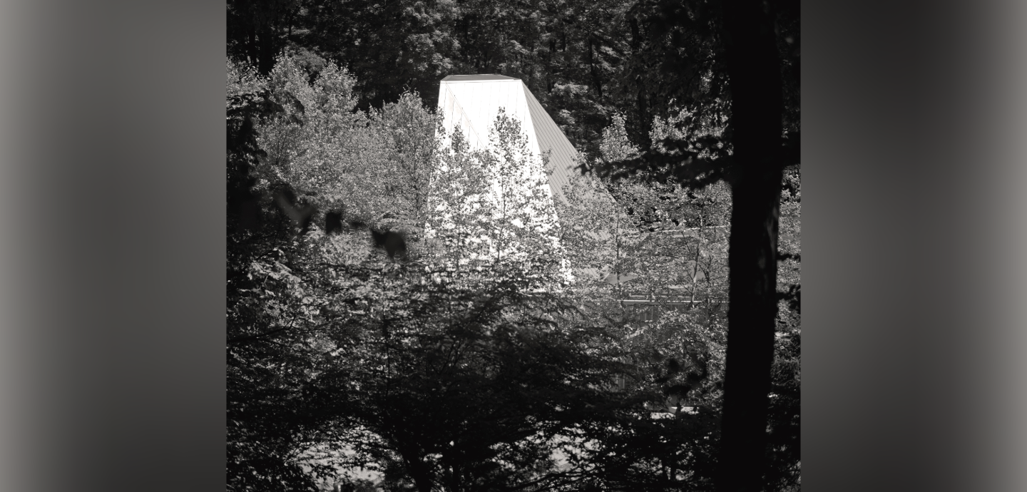black and white photo of modern building in wooded setting