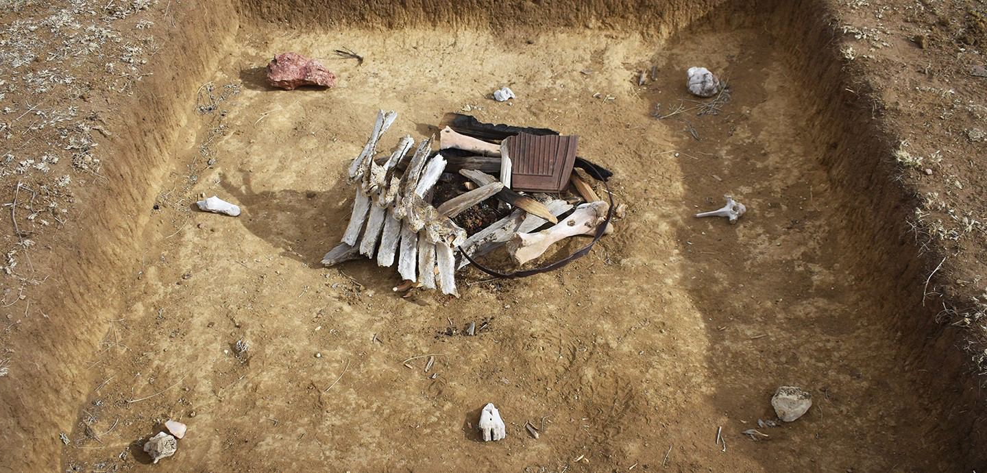Color photo of a pile of animal bones and charred pieces of wood atop light brown dirt in a square grave-like hole in the ground. Small white and brown animal skulls are scattered on the light dirt ground around the pile of wood and bones.
